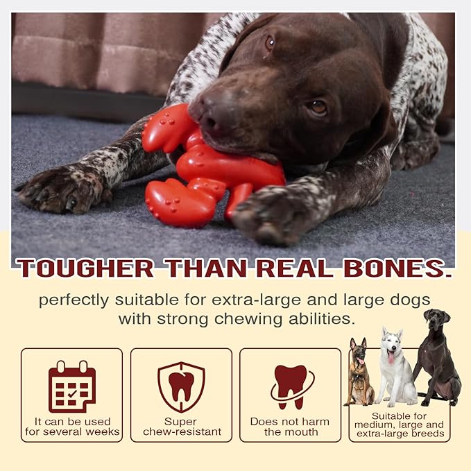 LiuMelinda Dog Chew Toys for Aggressive-Chewers - Indestructible Dog Toy for Aggressive Chewer,Tough Chew Toys for Dogs (Nylon Red-Lobster)