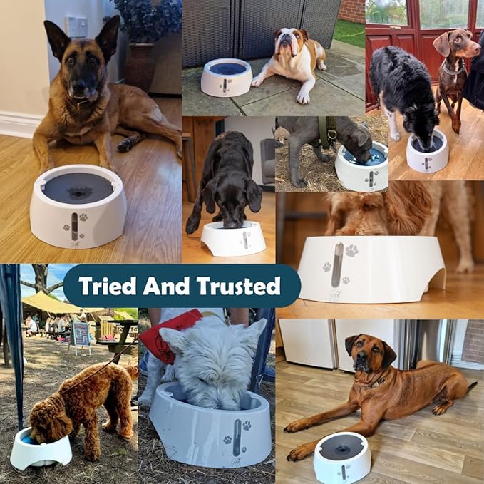 BARKING&MAD no Spill Water Bowl for Dogs 73.9oz (2.1L) - Anti-gulping, Slow Water Feed Dispenser for Large and Medium-Sized Breeds for Slow Drinking and Messy gulping Sloppy Drinkers