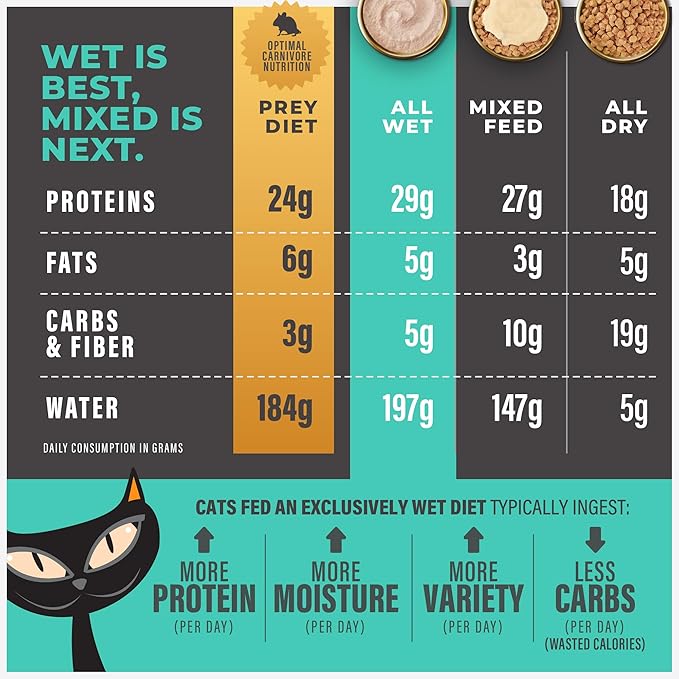 Tiki Cat Solutions Mousse Skin & Coat Mousse, Salmon Recipe, Specially Formulated with Omega Fatty Acids, Functional Wet Cat Food for Adult Cats, 2.4 oz. Pouch (12 Count)