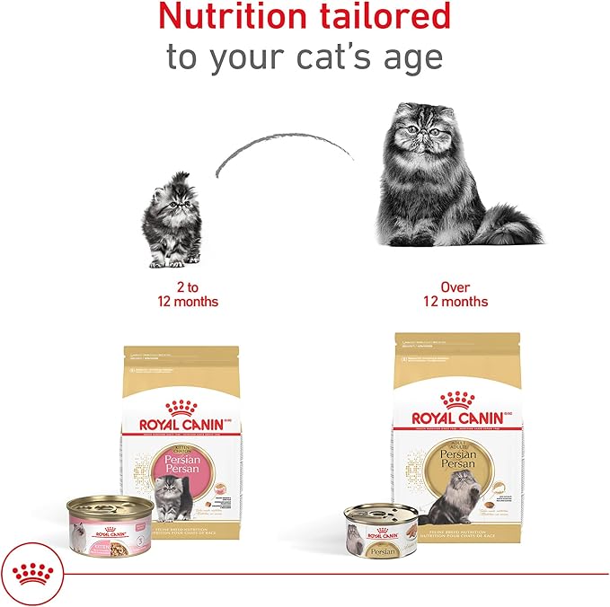 Royal Canin Feline Breed Nutrition Persian Kitten Dry Cat Food, 3 lb Bag