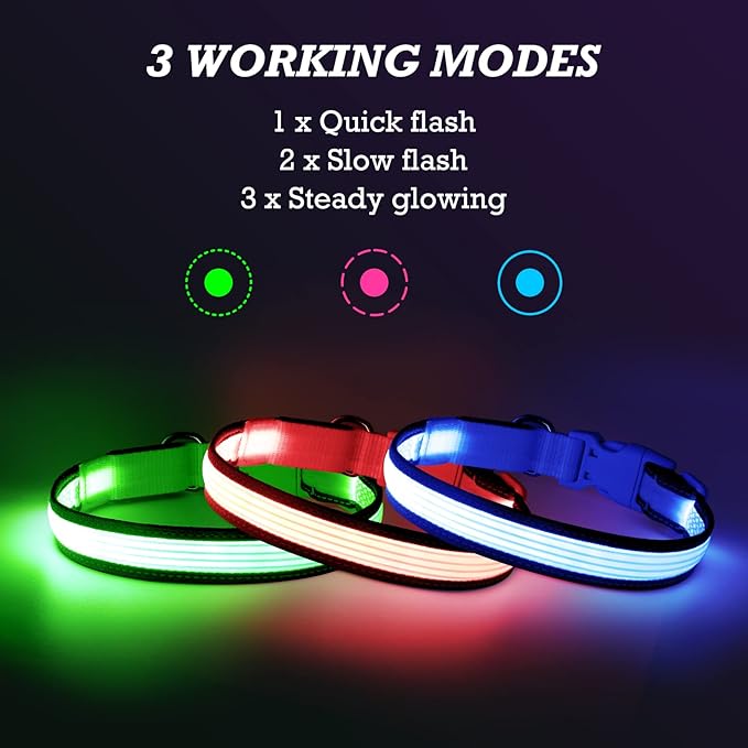 YFbrite Full Adjustbale LED Dog Collar, Full Illuminated Light up Dog Collars, Reflective Dog Collar Light Glowing in The Dark for All Dogs Safety (Medium, Blue-2)