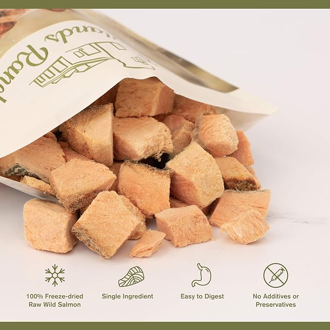 Superfood Bite, Freeze-Dried Raw Dog Treats - Protein Rich, Train & Reward, Traceable Single Ingredient by Katherine Heigl (Wild Salmon)