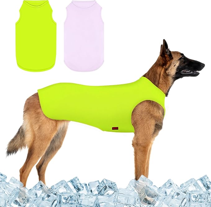 2 Pack Dog Shirts, Ice Pet Vest Dog Clothes for Instant Cooling, Lightweight Breathable Sleeveless T-Shirts for Medium Large Dogs, Light Purple+Fluorescent Green (XL)