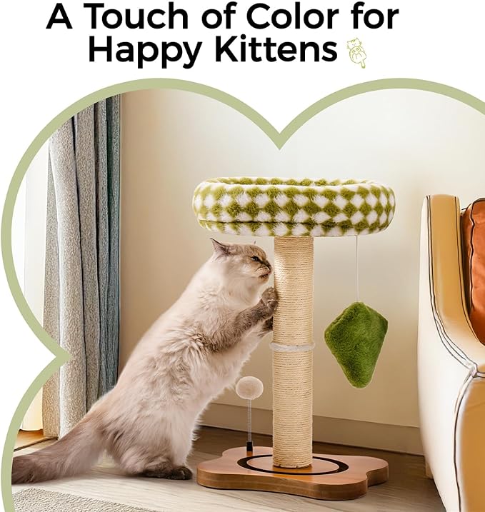 Mewoo Cat Scratching Post with Bed, Cat Tower with Cat Scratcher Post, Small Cat Tree for Indoor Cats, Sisal Cat Scratcher with Removable Cat Perch, Cat Ball Track and Kittens Toys (Green, Medium)
