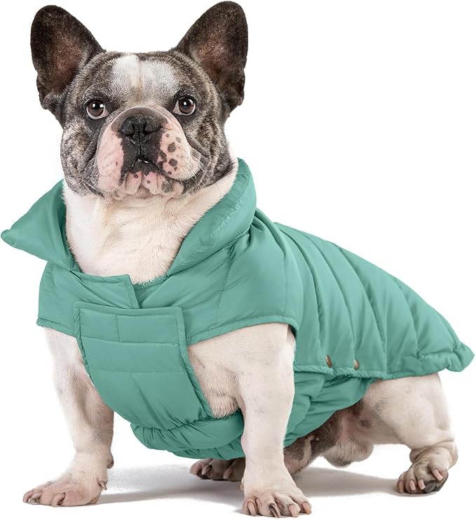 SPACE LION Puffer Jacket, Down Winter Coat, Waterproof, Windproof, Lightweight Jacket, Adjustable Fit for Medium, Large Dogs(Green,XL)