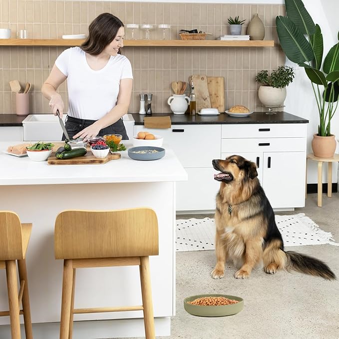 YINGFAN Slow Feeder Dog Bowls, Silicone Non-Slip Dog Slow Feeder Bowl, Puzzle Slow Eating Bowl for Medium to Small Dogs, Easy to Clean & Dishwasher Safe, 2 Cup, Green