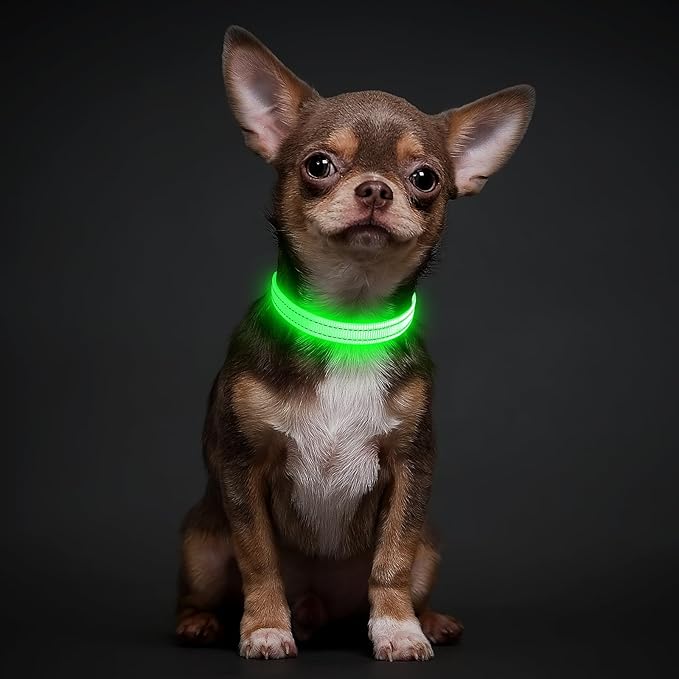 illumifun LED Dog Collar for Puppy, USB Rechargeable Light Up Collar, Lightweight Nylon Glowing Dog Collar for Your Small Pups& Cats (Green, X-Small)