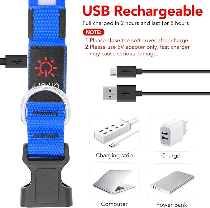 Vizpet LED Dog Collar, Light Up Dog Collar Adjustable USB Rechargeable Super Bright Safety Light Glowing Collars for Dog(Large,Blue)