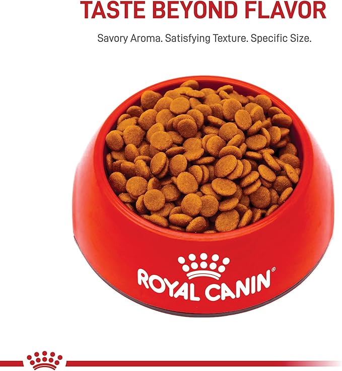Royal Canin Small Digestive Care Dry Dog Food, 17 lb bag