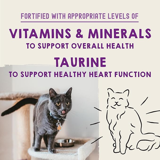 Stella & Chewy's Carnivore Cravings Purrfect Paté - Premium Grain-Free Wet Cat Food - 6 Flavor Variety Pack - High Protein with Bone Broth - Perfect for Picky Eaters - 2.8oz Cans (24 Pack)