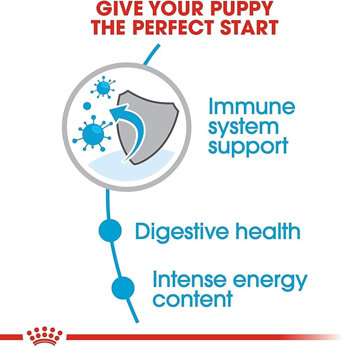 Royal Canin Small Puppy Dry Dog Food, 13 lb bag