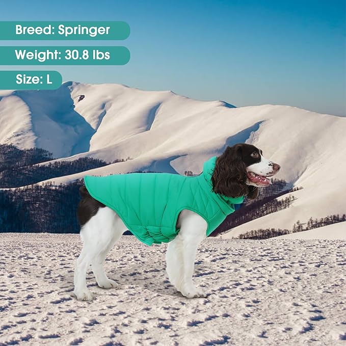 Large Dog Winter Vest for Boys & Girls, Warm Cold Weather Coat for Dogs with Back Zipper Detachable Neck Wrap, Easy on/Off Windproof Pet Snow Jacket Clothes, Weimaraner, Labrador, Green XL
