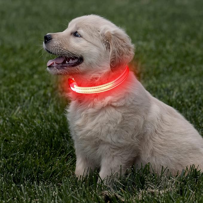 Light Up Dog Collar for Small Dogs - Rechargeable LED Cat Collar, Adjustable Reflective Puppy Collar Glowing Safety Dog Lights for Night Walking (Red)