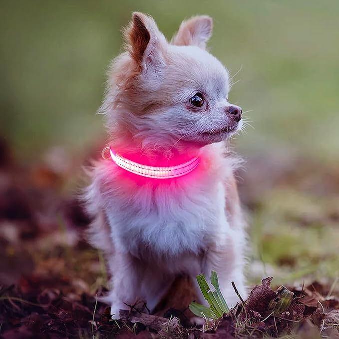 Light Up Collar for Small Dogs& Cats, Reflective LED Dog Collar Rechargeable Puppy Safety Lights for Nighttime Walking (Pink)