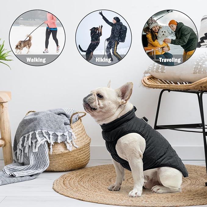 SCENEREAL Winter Dog Vest Coat with Harness Built In, Warm Puppy Jacket for Small Medium Dogs, Cold Weather Coats with Zipper, Fleece Puffer Vest Windproof Snow Clothes