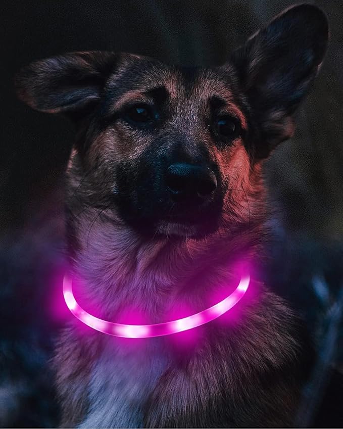Joytale Light Up Dog Collar, Rechargeable Rainproof LED Collar for Night Walking Safety, Soft Silicone Glow in The Dark, Suitable for Small Medium Large Dogs, Purple