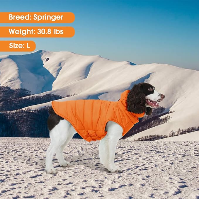Large Dog Winter Vest for Boys & Girls, Warm Cold Weather Coat for Dogs with Back Zipper Detachable Neck Wrap, Easy On/Off Windproof Pet Snow Jacket Clothes, Weimaraner, Labrador, Orange XL