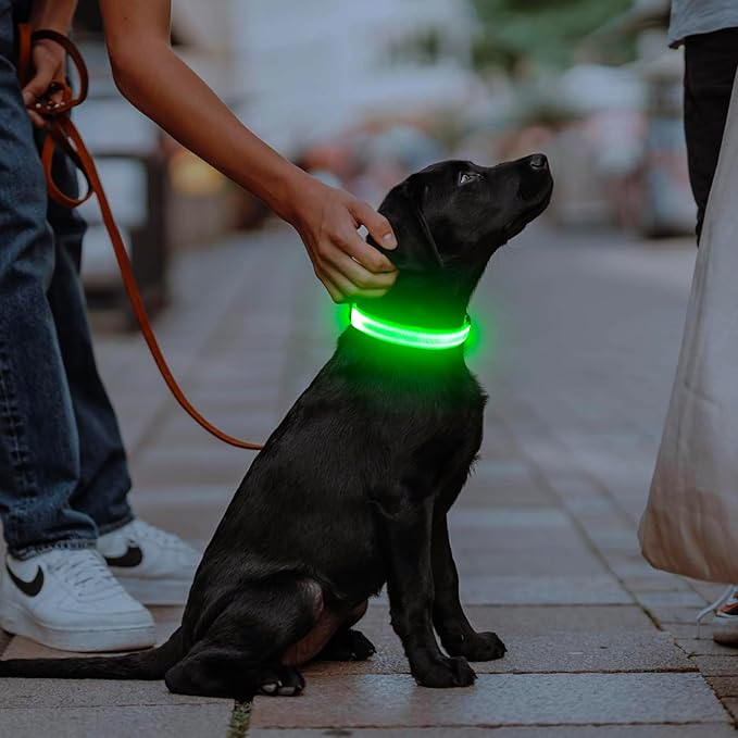 Illumifun LED Collar for Small Dogs, USB Rechargeable Light Up Dog Collar, Flashing Pet Safety Light Glow in The Dark (Green, Small)