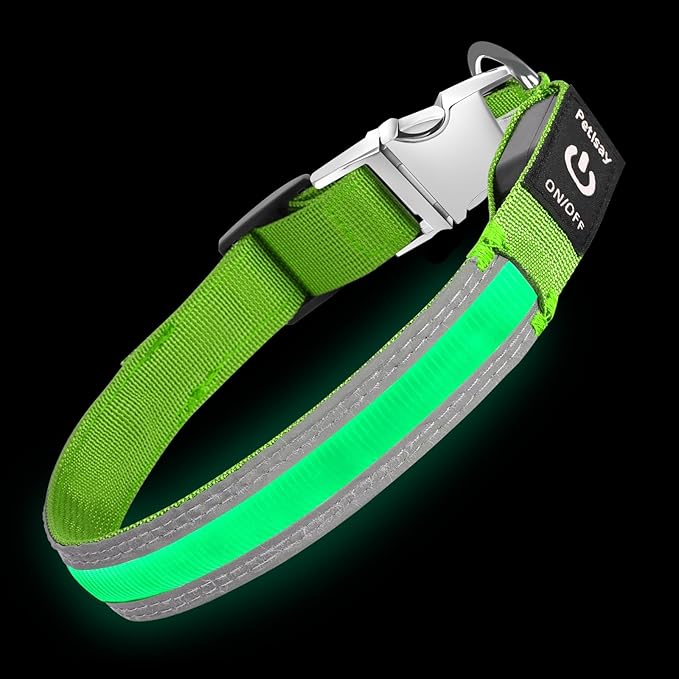 PetIsay LED Dog Collar Metal Buckle - Heavy Duty Light up Collars - Rechargeable IP68 Waterproof - Lighted Dog Collar for Night Walking, Hiking, Camping (Large, Green)