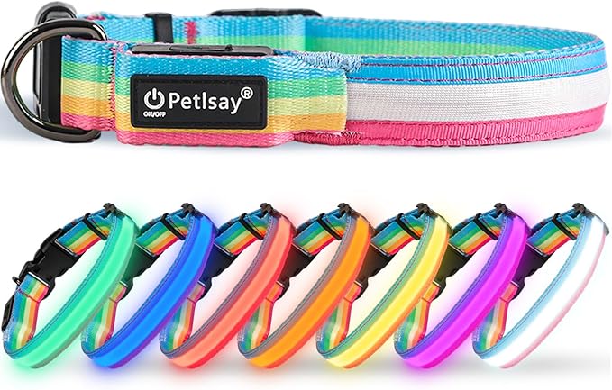 PetIsay LED Dog Collar - 7 Solid Colors & Memory - 300mAh Even Glow, No Half-Neck Light - USB-C Rechargeable, IPX7 Waterproof, Adjustable for Backyard, Hiking, Parties(Medium)