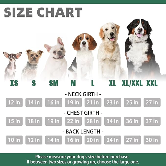 KOOLTAIL Basic Dog Hoodie - Soft & Warm Dog Hoodie Sweater with Leash Hole and Pocket, Dog Winter Coat, Cold Weather Clothes Sweatshirt for Small Medium Large Dogs Puppy Cat Boys Girls Green XL/XXL