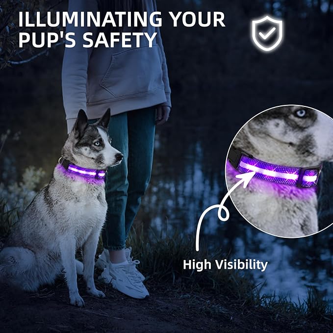 Super Bright LED Dog Collar - Fully Waterproof & Adjustable Glow Collar - USB-C Rechargeable for Night Walking, Safety - Flashing Lighted Collar for Dogs(Purple,Large)