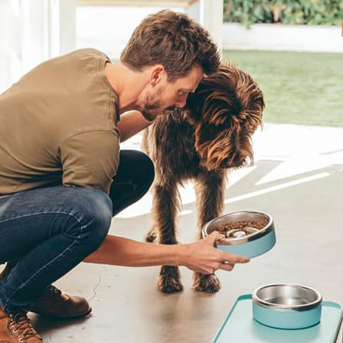 Trot Pets Premium Dog Bowls | Stainless Steel Bowl Set for Small, Medium, or Large Dogs | Non-Slip Food and & Water Slow Feeder | Durable, BPA-Free, Anti-Skid, Dishwasher Safe (Sky, Medium)