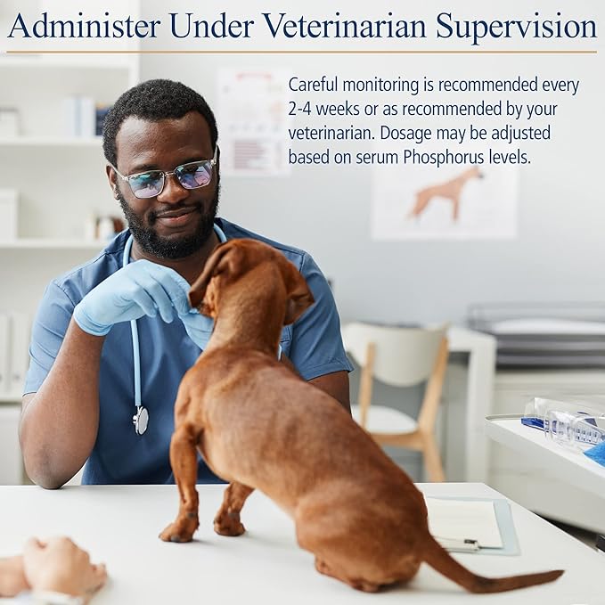 Rx Vitamins Phos-Bind - Kidney Support Supplement Powder - Phosphate Binder for Cats & Dogs for Kidney Health - Supports Normal Kidney Cleanse and Essential Kidney Care - 200g