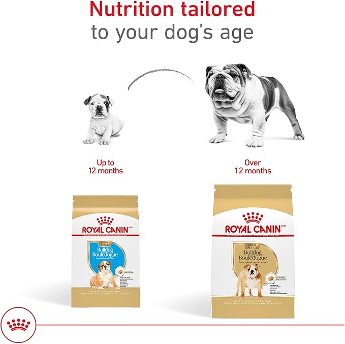 Royal Canin Bulldog Puppy Dry Dog Food, 30 lb bag