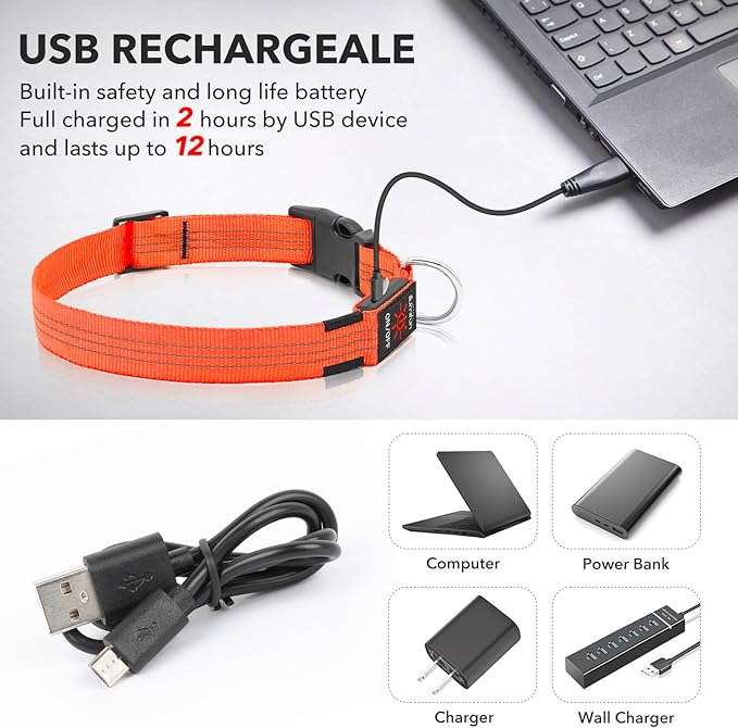 Illumifun LED Dog Collar USB Rechargeable Light Up Dog Collar, Reflective Pet Safety Collar Light Glow in The Dark (OrangeⅢ, Medium)