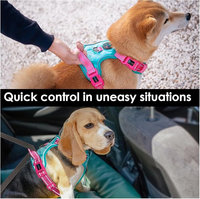 PHOEPET No Pull Dog Harness, Unique Colors Reflective Adjustable Dog Vest, with Soft Training Handle Metal Clips for Small Medium Large Dogs (Mint Green Base & Pink Straps,M)
