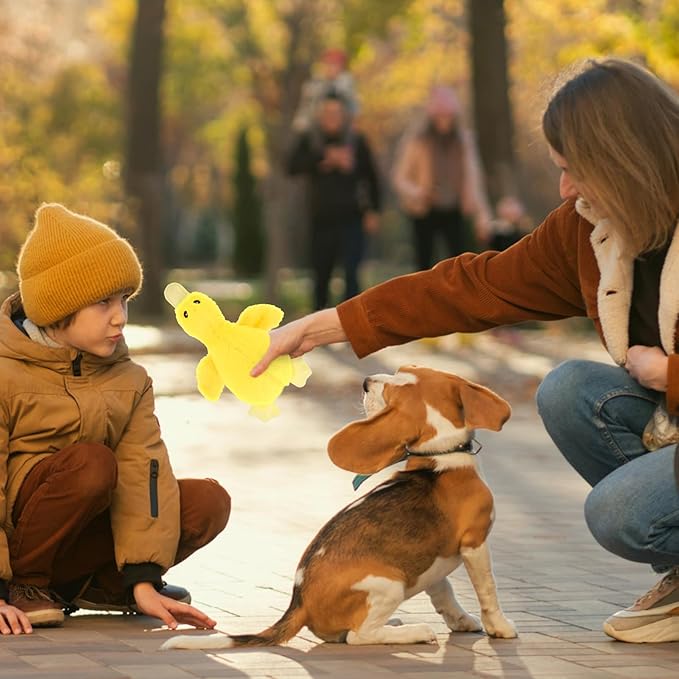 EXPAWLORER Plush Squeaky Duck Dog Toy - Soft Stuffed Small Dog Toys Cute Yellow Duck, Best Birthday Gift Interactive Filled Chew Toys for Puppy Small Medium Dogs Biting Training Teething, 2 Pack