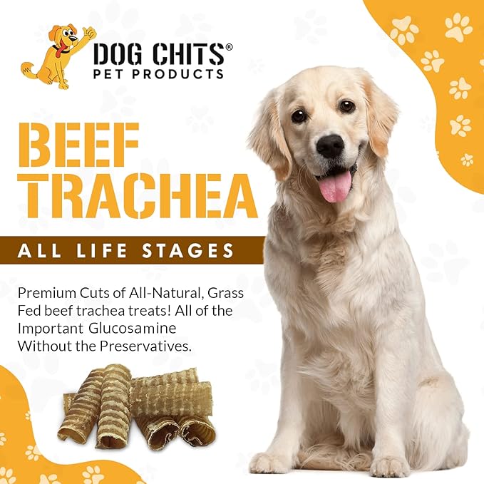 Dog Chits Beef Trachea Chews for Dogs – All-Natural,1 Pound, Healthy Treats for Joint Support, Digestible Rawhide-Free Supplement for Canine Chewers, Dehydrated, Large & Small Dogs, 3-4 Inch Rolls