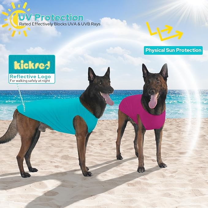 2 Pack Dog Shirts, Ice Pet Vest Dog Clothes for Instant Cooling, Ultra Lightweight Breathable Sleeveless T-Shirts for Large Dogs, Purple+Blue (M)
