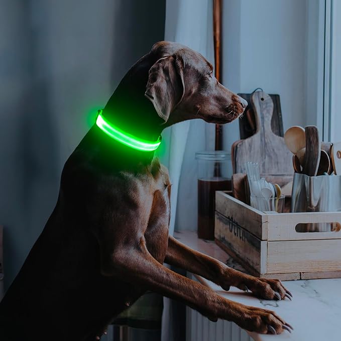 Illumifun LED Collar for Small Dogs, USB Rechargeable Light Up Dog Collar, Flashing Pet Safety Light Glow in The Dark (Green, Small)