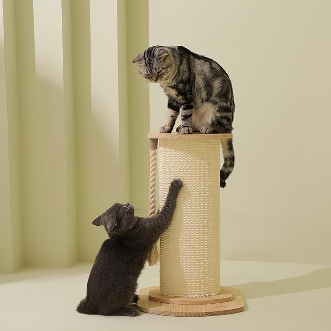 Cat Scratching Post, 23 Inches/58cm Large Cat Scratch Post for Adult Cats and Kittens, Nature Sisal,Wooden Base, Modern Cat Scratcher for Indoor Cats, Protect Your Furniture, Beige