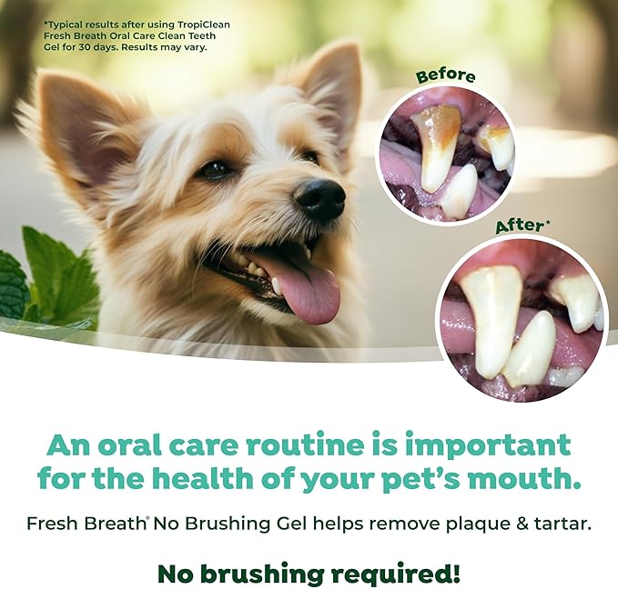 TropiClean Fresh Breath Dog Toothpaste for Teeth Cleaning, Breath Freshener, Easy Plaque & Tartar Remover Gel, No Toothbrush Needed, Peanut Butter, 2oz.