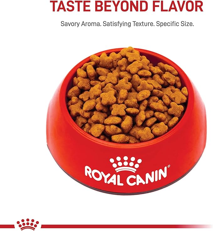 Royal Canin Jack Russell Terrier Adult Dry Dog Food, 10 lb bag