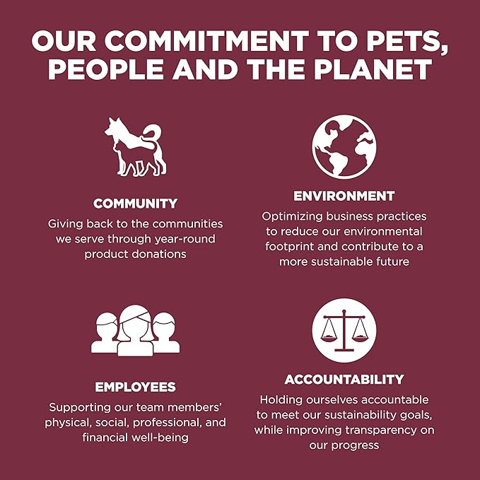 Go! Solutions Sensitivities Limited Ingredients, Grain-Free Dry Dog Food, Lamb Recipe for Sensitive Stomach, 22 lb Bag