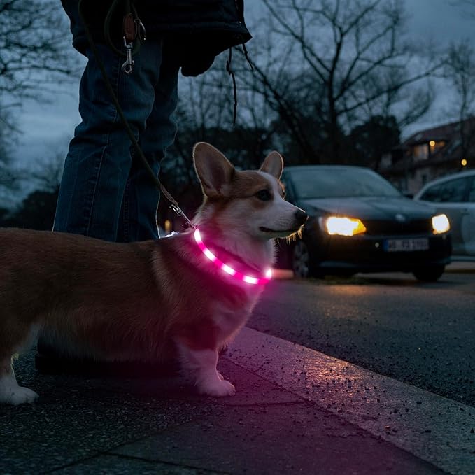 HIGO LED Dog Collar, Silicone Lightweight Light Up Dog Collars, USB Rechargeable LED Dog Necklace Light for Your Dogs Cats Glow in The Dark (Pink-Silicone)