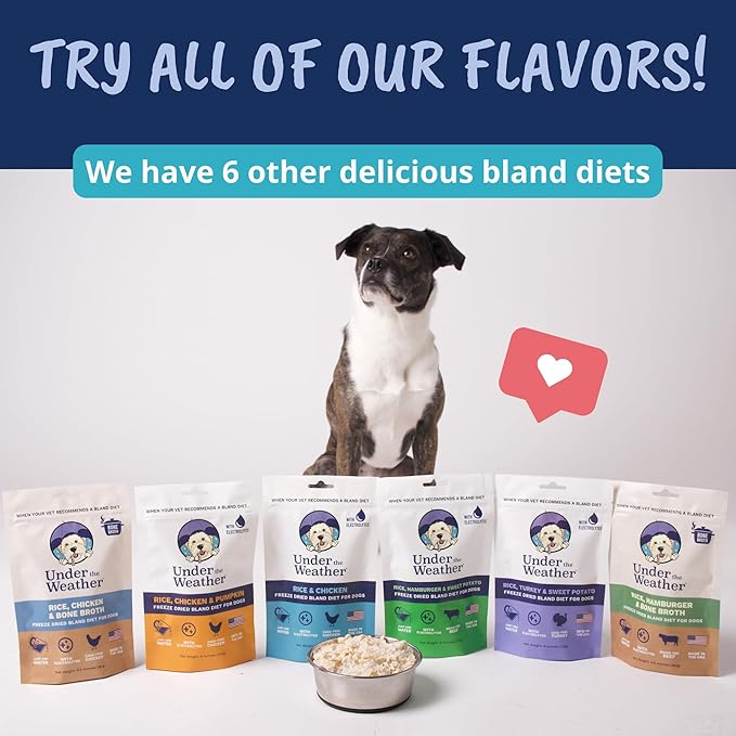 Under the Weather Bland Diet for Dogs | Easy to Digest for Sick Dogs |Always Be Ready| Contains Electrolytes - All Natural Freeze Dried 100% Human Grade Meats| 6 Pack- Rice Turkey & Sweet Potato - 6oz