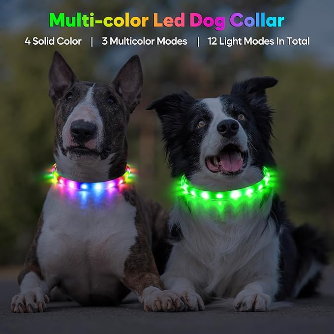Flashseen LED Dog Collar, USB Rechargeable Glowing Lighted Up Collar, Cuttable Water-Resistant TPU Safety Collar Lights for Small Medium Large Dogs (Style 1)