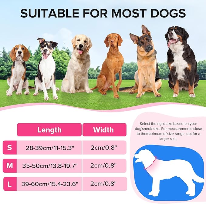 Light Up Dog Collar, Adjustable USB Rechargeable Glow in Dark Dog Collar ,Waterproof Dog Collars for Large Dogs (Pink, Large)