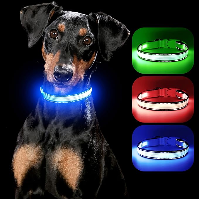 YFbrite Full Adjustbale LED Dog Collar, Full Illuminated Light up Dog Collars, Reflective Dog Collar Light Glowing in The Dark for All Dogs Safety (Medium, Blue-2)