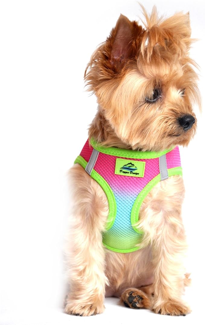 Doggie Design No Choke Dog Harness - Simple Step-in and Go Dog Vest for Small, Medium, and Large Breeds - Breathable Mesh Polyester Pet Harness - Rainbow - XXS