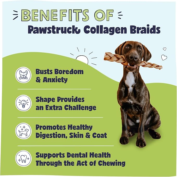 Pawstruck Natural Large 10-13” Beef Collagen Braids for Dogs – Long-Lasting Rawhide & Bully Stick Alternative, with Chondroitin & Glucosamine – 3 Pack