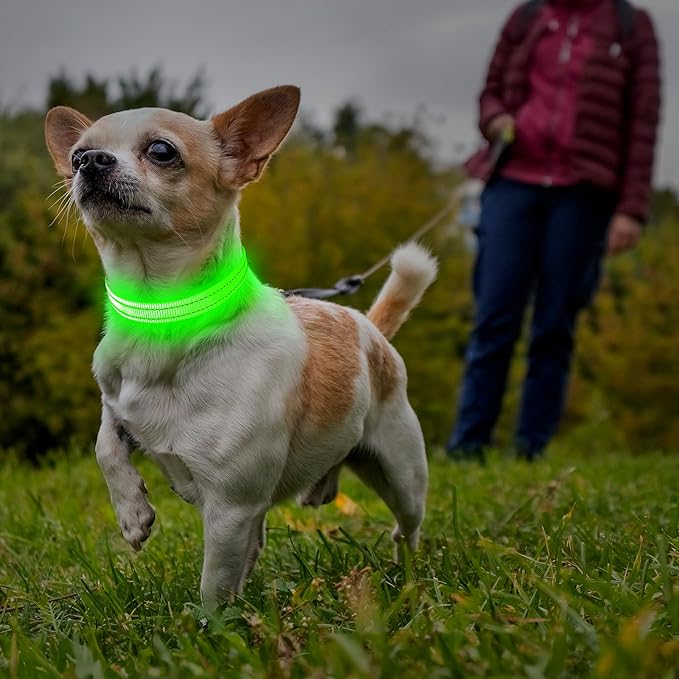 illumifun LED Dog Collar for Puppy, USB Rechargeable Light Up Collar, Lightweight Nylon Glowing Dog Collar for Your Small Pups& Cats (Green, X-Small)
