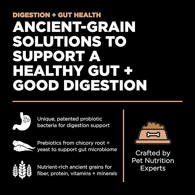 Go! Solutions Digestion + Gut Health, Dry Cat Food, Salmon Recipe with Ancient Grains, 16 lb Bag