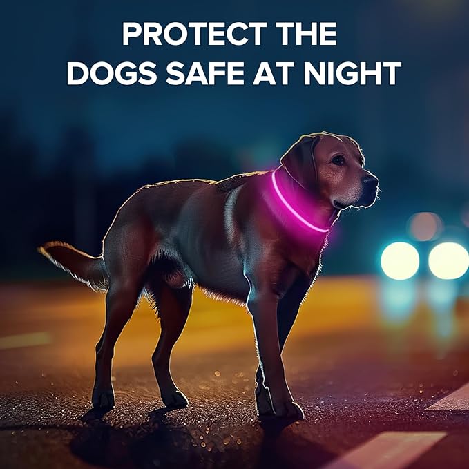 Light Up Dog Collar, Adjustable USB Rechargeable Glow in Dark Dog Collar ,Waterproof Dog Collars for Medium Dogs (Pink, Medium)