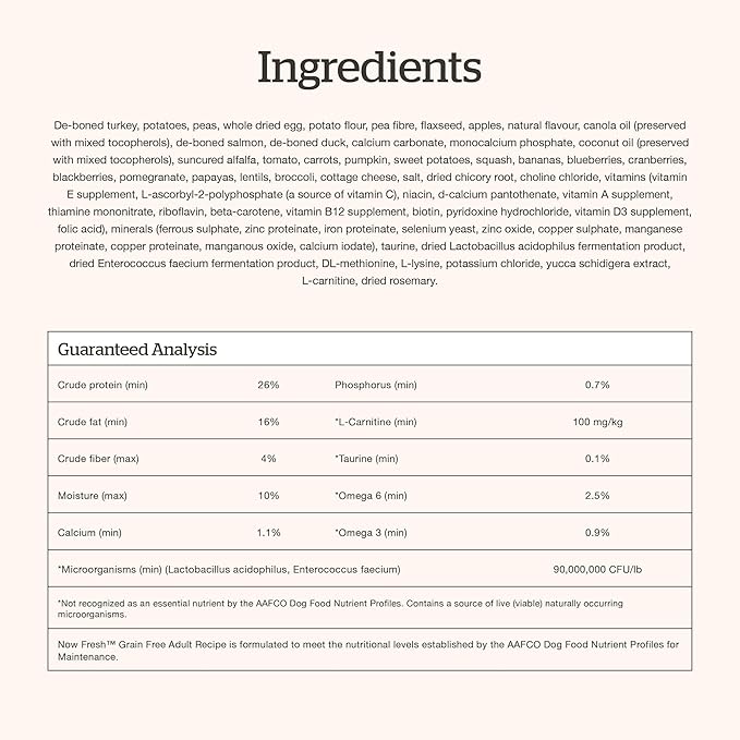 Now Fresh Grain-Free Dry Dog Food with Turkey, Salmon & Duck, Healthy Kibble for Adults Made with Real Meat & Fish, Chicken-Free, Enhanced with Pumpkin & Probiotics for Good Digestion, 12 lb Bag